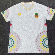 25/26 Mali White Fans Soccer Jersey