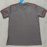 24/25 Bayern Grey 125th Anniversary Edition  Fans Soccer Jersey