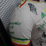 25/26 Ajax Graffiti Beige  Player Version Soccer Jersey
