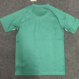 24/25 Palmeiras Green Training shirts