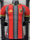 26/27 Belgium Special Edition Red& Grey Player Version Soccer Jersey