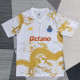 25/26 Porto Golden Dragon Edition Fans Soccer Jersey