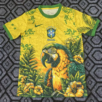 26/27 Brazil Macaw Yellow Special Edition Fans Soccer Jersey