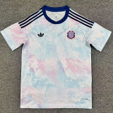 25/26 Costa Rica Away Fans Soccer Jersey