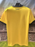 26/27 Ecuador Home Fans Soccer Jersey(V领)