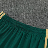 26/27 Italy Green Training Short Suit
