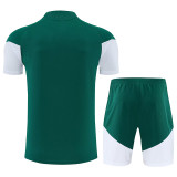 26/27 Italy Green Training Short Suit