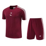 26/27 ARS maroon Training Shorts Suit