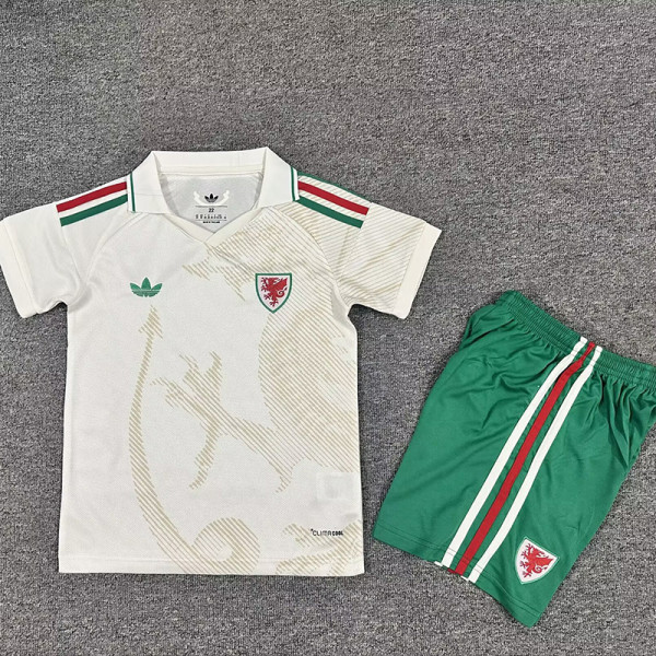 26/27 Wales Away Kids Soccer Jersey