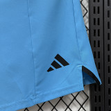 2026 AD Blue Casual shorts#D334