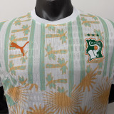 26/27 Cote d'Ivoire Away Player Version Soccer Jersey
