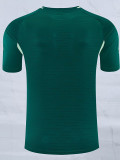 25/26 ARS Green Player Version Training Shirt
