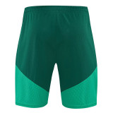 26/27 Algeria Green Training Shorts Suit