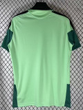 26/27 Mexico Light Green Training Shirt