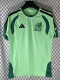 26/27 Mexico Light Green Training Shirt