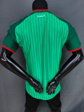 2026 Algeria Away Player Version Soccer Jersey