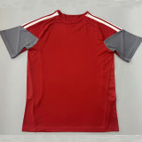 26/27 Internacional Red Training shirts