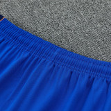 26/27 France Blue Half Pull Tracksuit#  (半拉链)