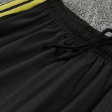 26/27 Flamengo khaki Training Shorts Suit