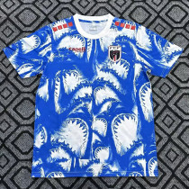 26/27 Haïti Blue Pre matchTraining Shirts