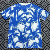 26/27 Haïti Blue Pre matchTraining Shirts