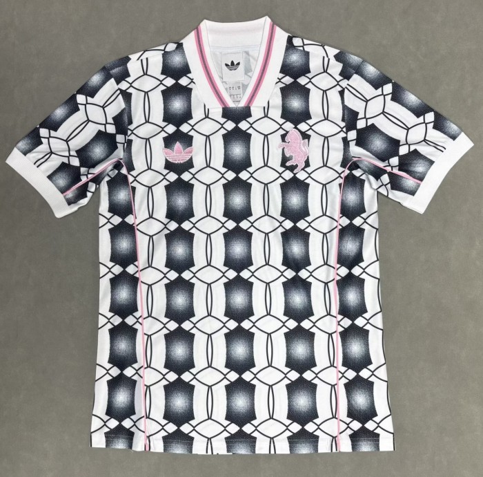 25-26 JUV Grey Special Edition Fans Training shirts