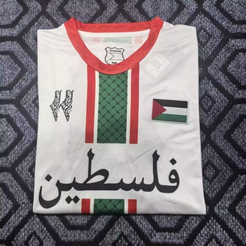 25-26 Palestine Special Edition Fans Soccer Jersey
