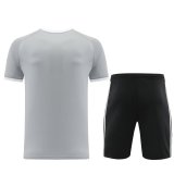 2024 AD Gray Training Short Suit
