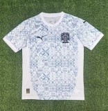 25-26 Portugal Grey Goalkeeper Fans Soccer Jersey *PM