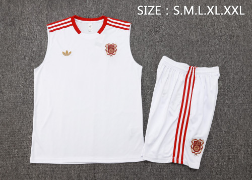 25-26 Bayern High quality Tank Top And Shorts Suit