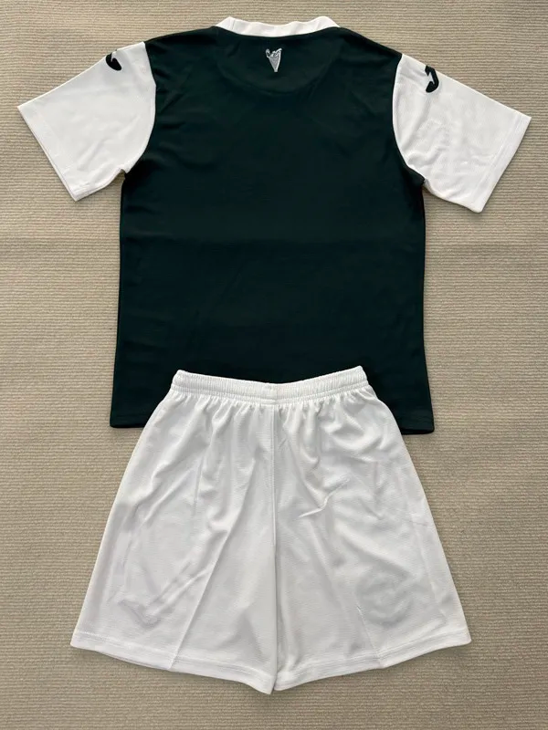 25-26 Hibernian FC Home Adult Suit 1:1 Thai Quality