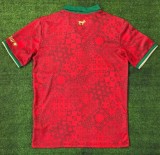24-25 Portugal Comma Red Special Edition Fans Soccer Jersey
