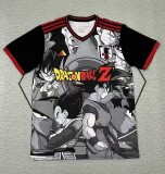 24-25 Japan Special Edition Fans Soccer Jersey
