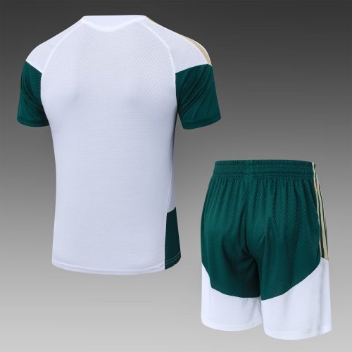 2026 AD White High Quality Player Version Training Short Suit (球员套装)
