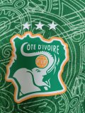 25-26 Cote d'Ivoire Green Special Edition Player Version Soccer Jersey