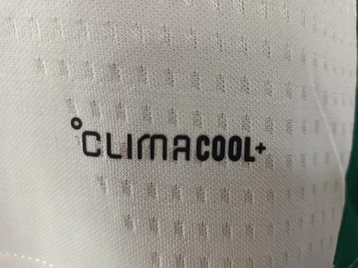 25-26 Italy White Green Player Version Training shirts