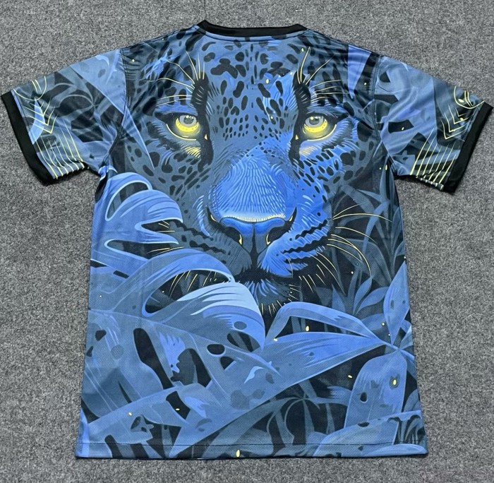 2024 Brazil Blue Special Edition Fans Soccer Jersey