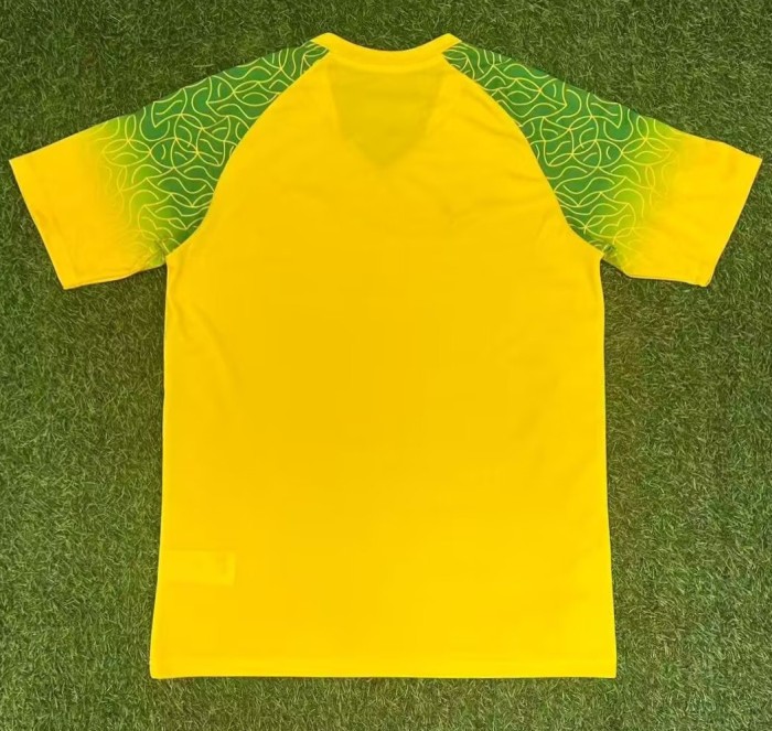 25-26 Burkina Faso Yellow Special Edition Fans Soccer Jersey