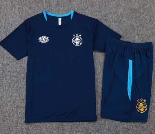 25-26 Gremio High Quality Training Short Suit