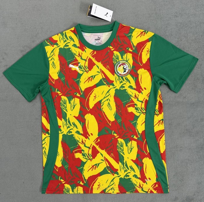 24-25 Senegal  Special Edition Fans Version Soccer Jersey
