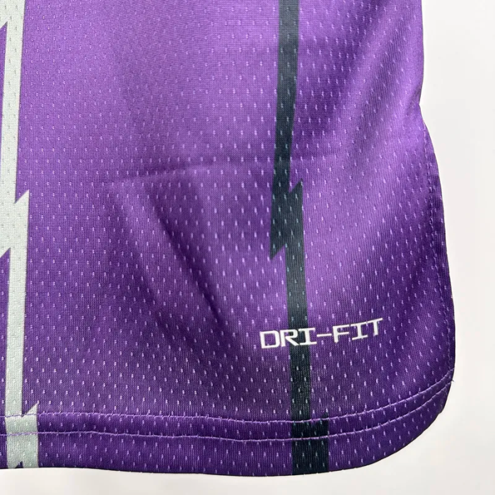 25-26 Raptors CARTER #15 Purple Retro Top Quality Hot Pressing NBA Jersey