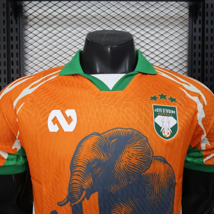 25-26 Cote d'Ivoire Orange Special Edition Player Version Soccer Jersey