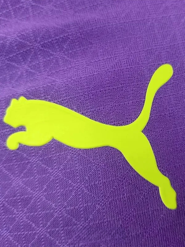 25-26 Dortmund Purple Special Edition Player Version Soccer Jersey