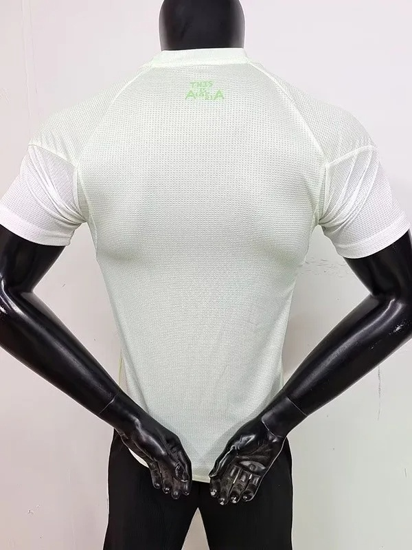 25-26 Algeria Light Green Player Version Training shirts