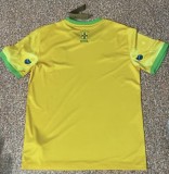 2024 Brazil Special Edition Fans Training Soccer Jersey