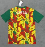 24-25 Senegal  Special Edition Fans Version Soccer Jersey