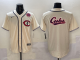 2025 MLB Chicago Cubs New Pattern Jersey