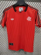 25-26 Flamengo Red Special Edition Training shirts