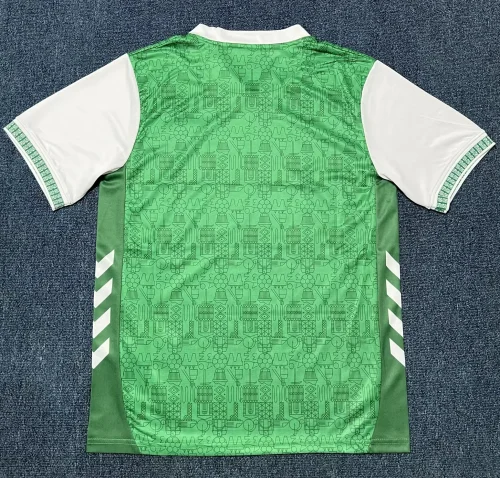 25-26 Saint Etienne Home Fans Soccer Jersey