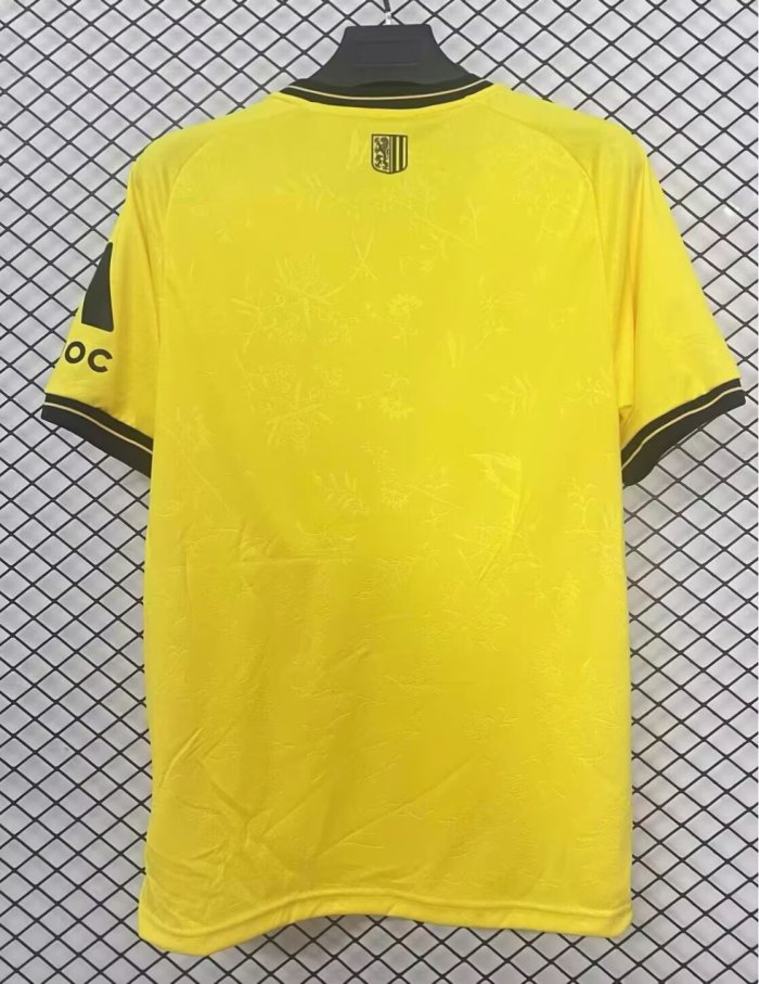 25-26 Dynamo Dresden Home Fans Soccer Jersey